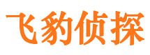 汝州市私家侦探